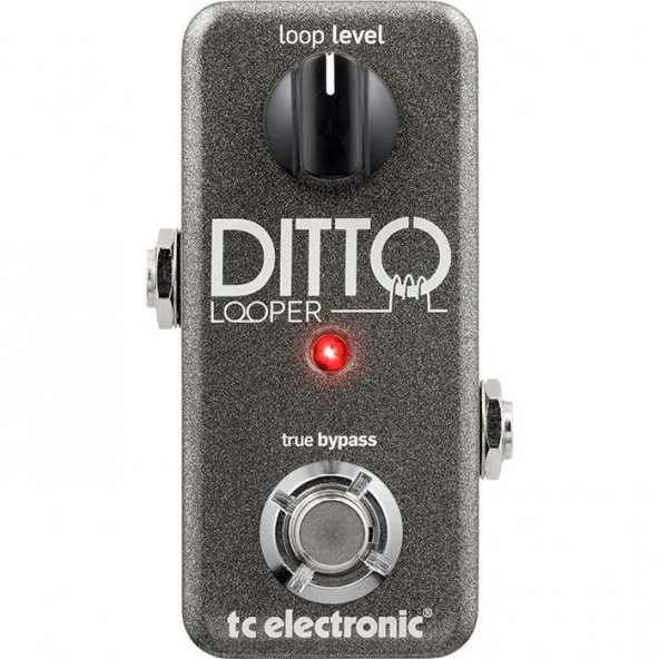 TC Electronic Ditto Looper Yüksek kaliteli Mini Looper
