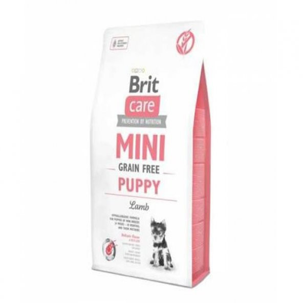 Brit Care Mini Tahılsız Küçük Irk Kuzu Etli Yavru Köpek Maması 2 Kg