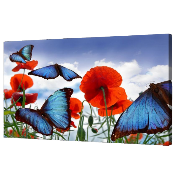 Misiny-Kelebek Digital Baskı Kanvas Tablo 60 x 90 cm