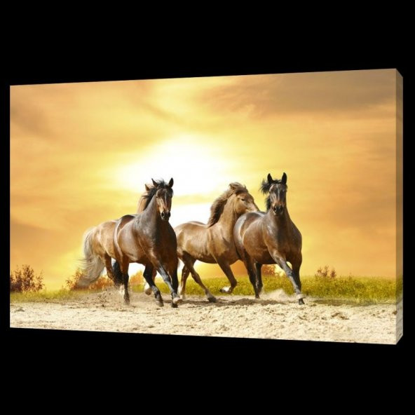 Atlar Digital Baskı Kanvas Tablo 60 x 90 cm