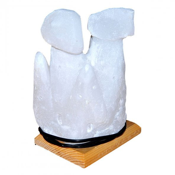 LokmanAVM İki Bacalı Peribacası Şekilli Doğal Kaya Tuzu Lambası Çankırı Kablolu Ampullü Beyaz 4 - 5 Kg - 4
