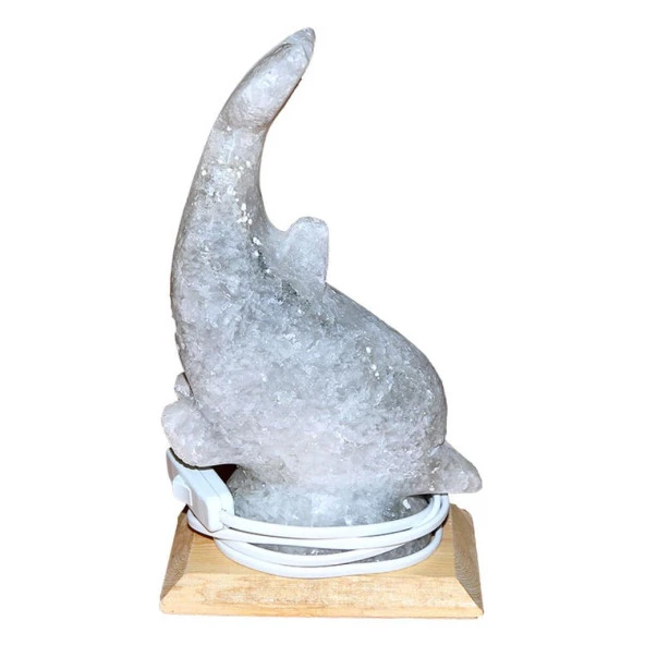 Yunus Balığı Doğal Kaya Tuz Lambası Anahtarlı Ampullü 2-3KG