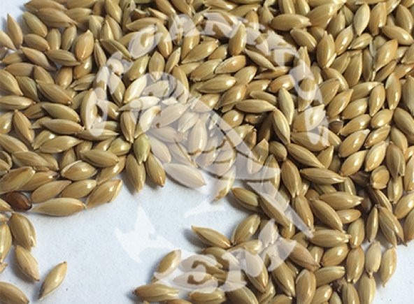 Aspur 1 KG - 3