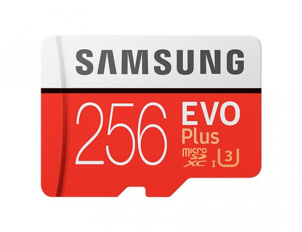 256GB SAMSUNG mSD EVO PLUS MB-MC256GA/EU