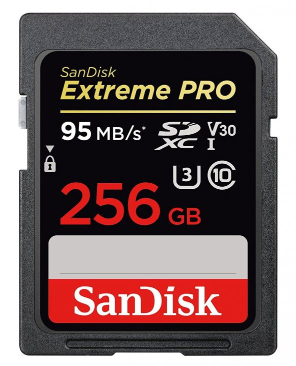SANDISK FLA 256GB EXTREME PRO SDHC 95MB/S CL 10 SDSDXXG-256G-GN4IN