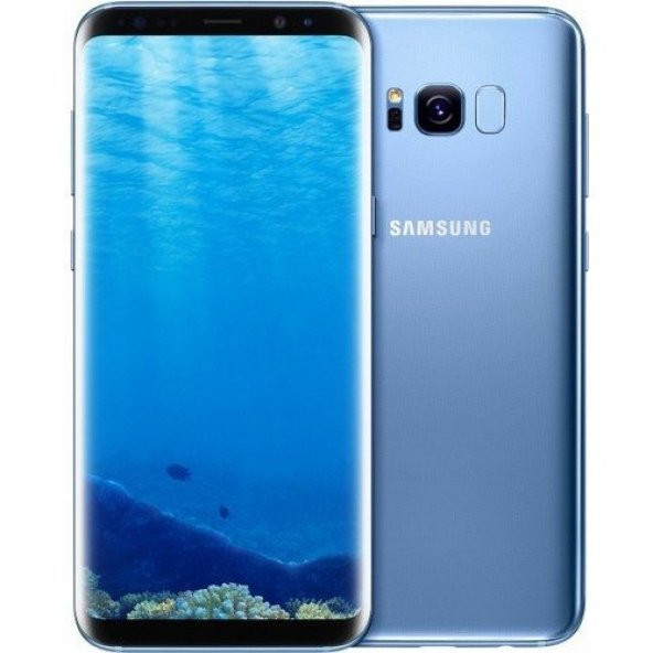 Samsung Galaxy S8 Plus Dual 64GB Cep Telefonu