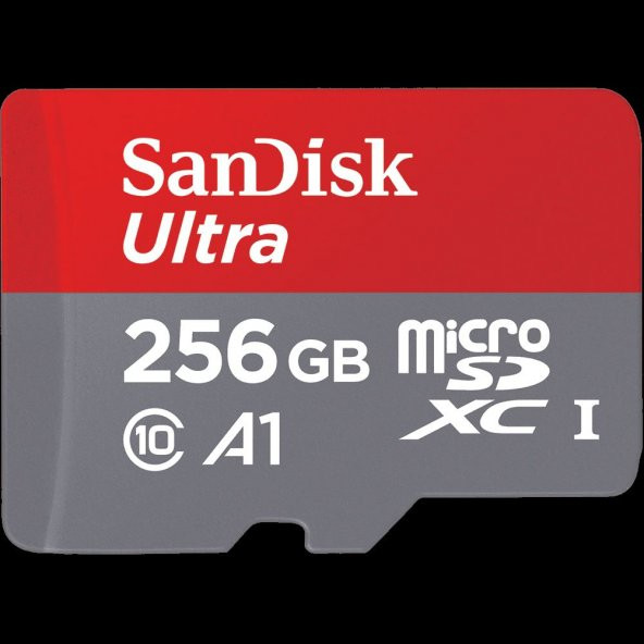 SANDISK SANDISK 256GB Ultra 100MB Class 10 Micro SD SDSQUAM-256G-GN6MA