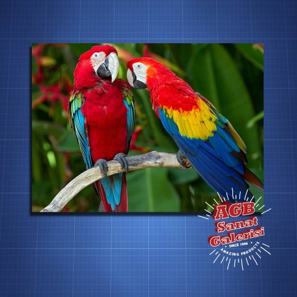 Hayvanlar Dekoratif Tablo Papağanlar