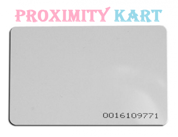 Proxımıty RFID 125 KHZ Manyetik Kart