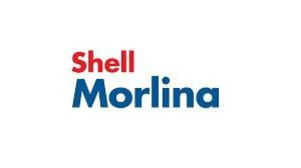 SHELL MORLİNA S2 B 100 BİDON - 20 LİTRE - Resim 6