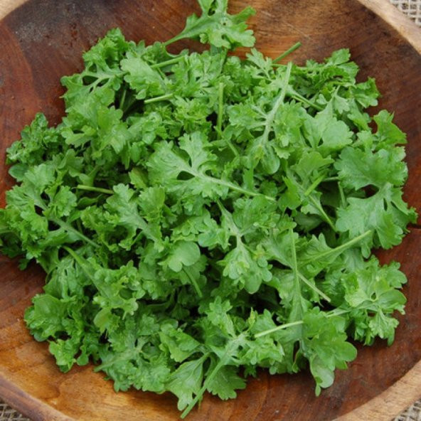 İthal Crinkled Kıvırcık Tere Tohumu 100 Tohum + Süpriz Hediye - 2