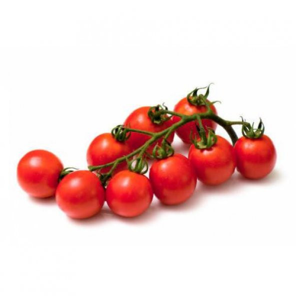 İthal Pinpon Domates Tohumu Ekim Seti 10 Tohum +Saksı+Toprak