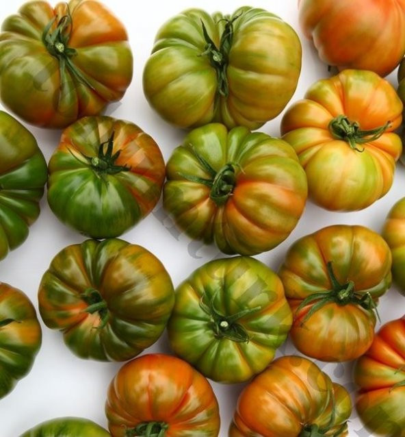 Süper Paket 300 Tohum Kokulu Yayla Domatesi Tohumu Domates Tohumu - 2