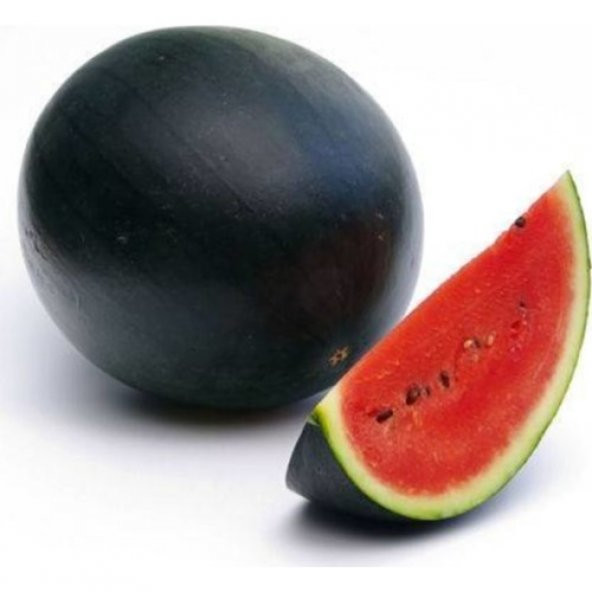 Süper Paket 300 Tohum İthal Halep Karası Siyah Karpuz Tohumu