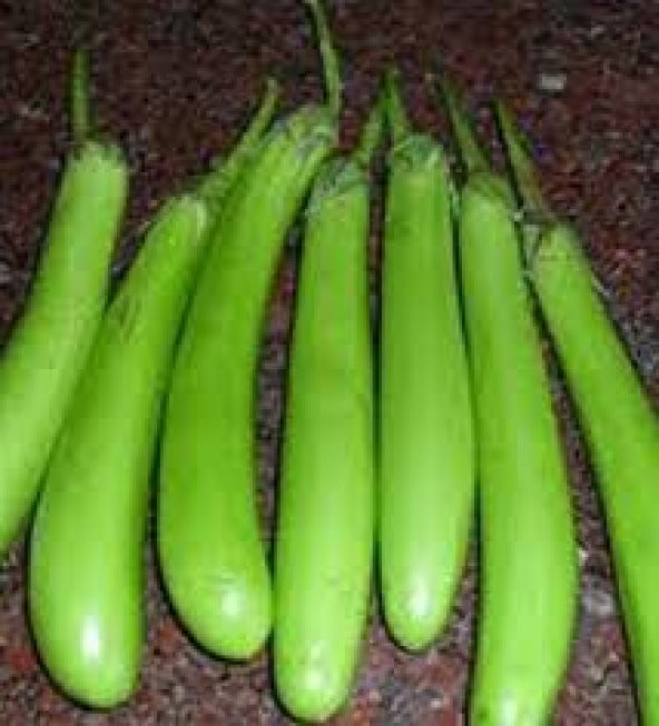 Süper Paket 50 Tohum Nadir Endonezya Yeşil Kemer Patlıcan Tohumu - 3