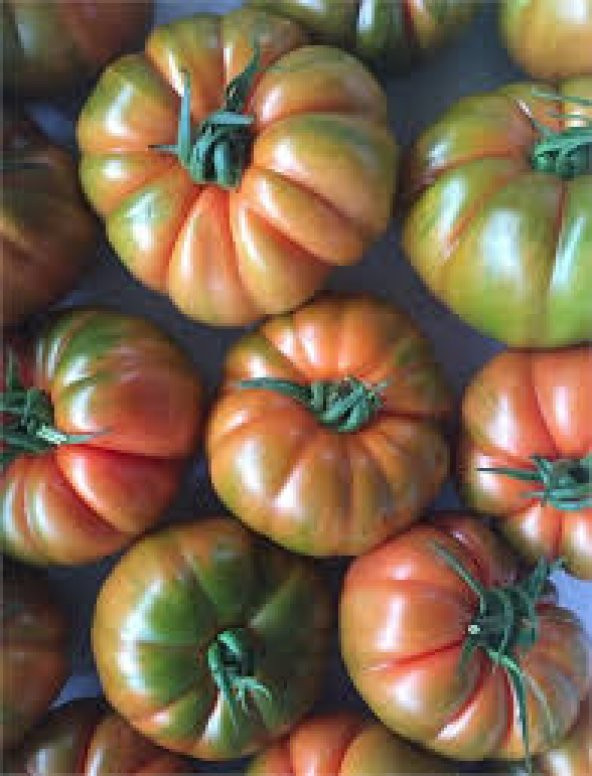 Süper Paket 300 Tohum Kokulu Yayla Domatesi Tohumu Domates Tohumu - 4