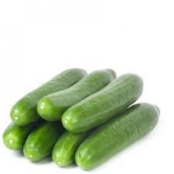 Süper Paket 300 Tohum Mis Kokulu Çengelköy Salatalık Tohumu +Süpr - 2