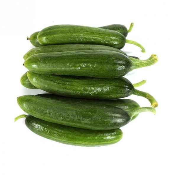 Süper Paket 300 Tohum Mis Kokulu Çengelköy Salatalık Tohumu +Süpr - 3