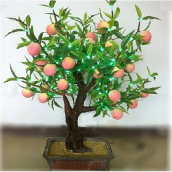 3lü Set Bonzai Ağacı Tohumu Bonsai Elma Alıç Şeftali Ekim Seti - 2