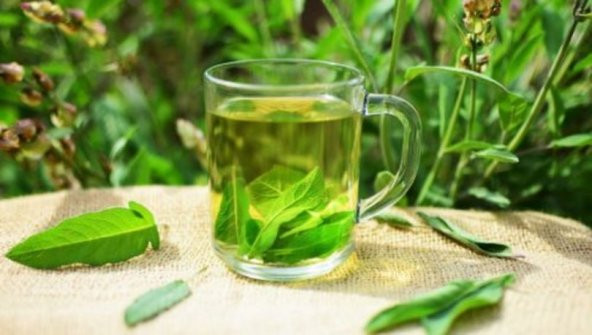 Eko Paket 50 Tohum Adaçayı Tohumu Ada Çayı Dağ Çayı Çay - 3