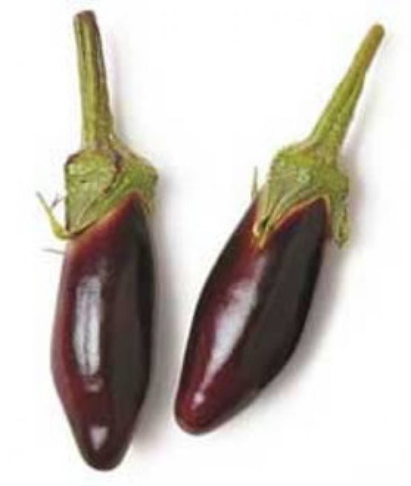 Nadir Thailand Mini Kemer Patlıcan Tohumu Ekim Seti 5 Tohum +Saks - Resim 2