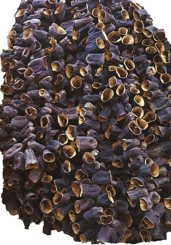 Eko Paket 250 Tohum Kurutmalık Dolmalık Antep Patlıcan Tohumu - 2