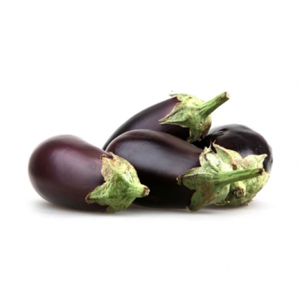 Eko Paket 200 Tohum Dolmalık Adana Patlıcan Tohumu + Süpriz Hediy - 4