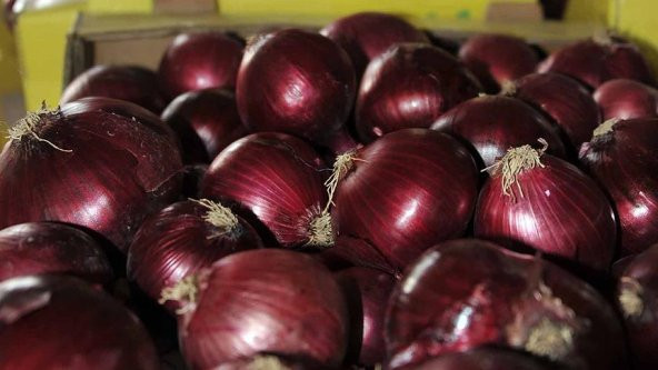 Eko Paket 1000 Tohum Nadir Mor Soğan Tohumu + Süpriz Hediye Tohum - Resim 3