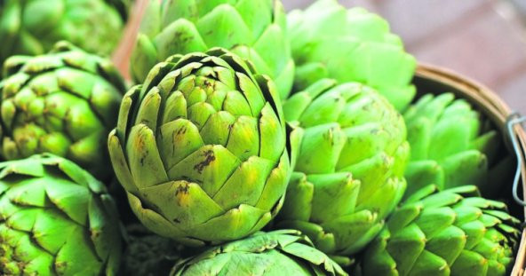 Eko Paket 35 Tohum Nadir İthal Enginar Tohumu + Süpriz Hediye To - 2