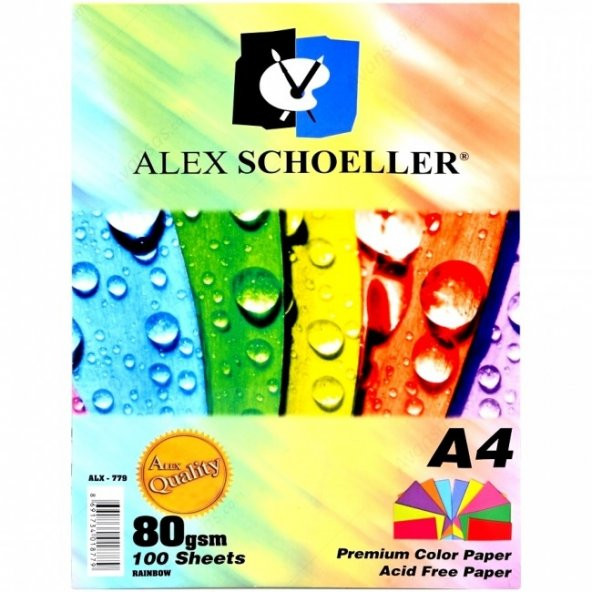 alex schoeller A4 Çok Renkli 100 sayfa