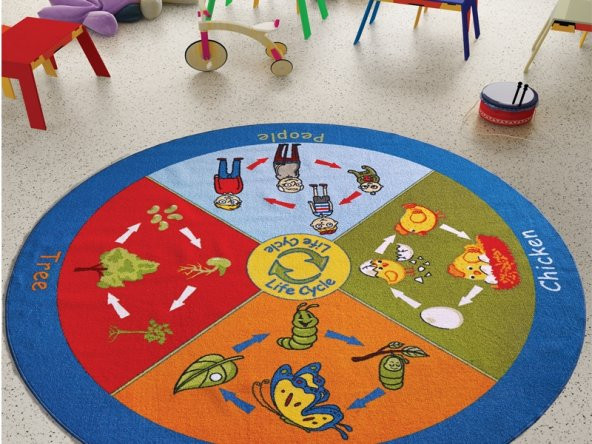 Confetti Life Cycle Çocuk Odası Anaokulu Eğitici Oyun Halısı