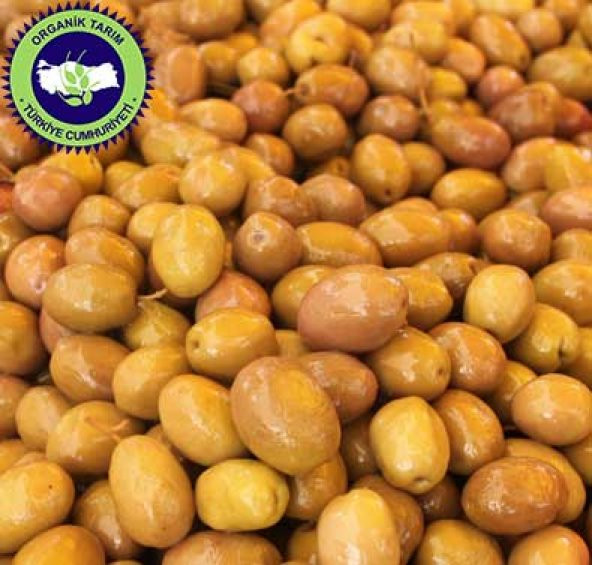 Organik Tardaş Yeşil Zeytin Çizik 10 kg - 2