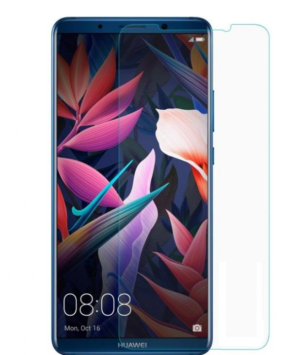 Bufalo Huawei Mate 10 Pro Ekran Koruyucu FlexiGlass Nano
