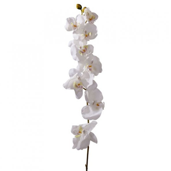 LoveQ Yapay Çiçek Orkide 75 Cm.