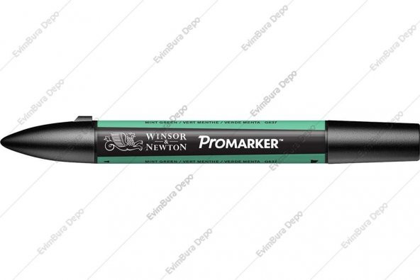 Winsor & Newton ProMarker Mint Green G637