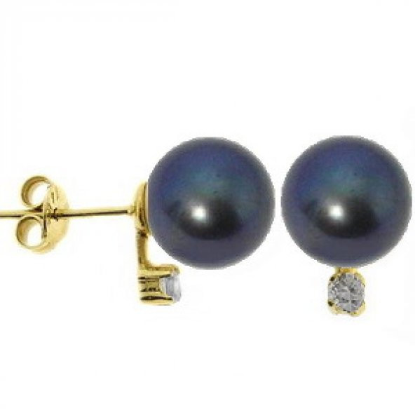 Goldstore 14 Ayar Altın İnci Küpe PJE11225