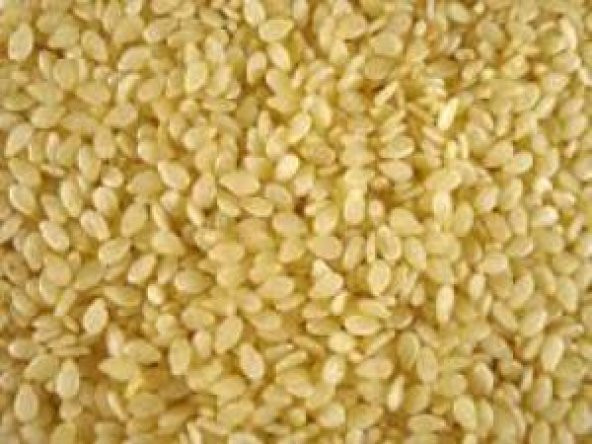 SUSAM 250GR - 3