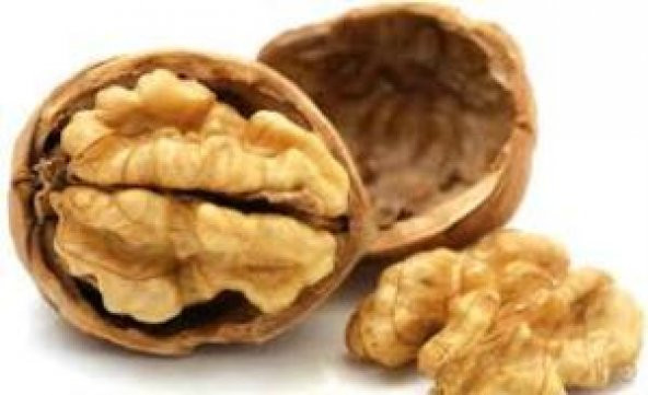 CEVİZ KABUKLU 1 KG - 3