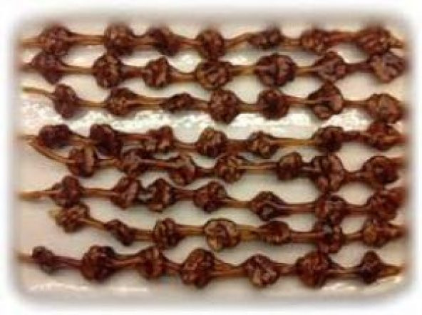 CEVİZLİ SUCUK 1KG - 3