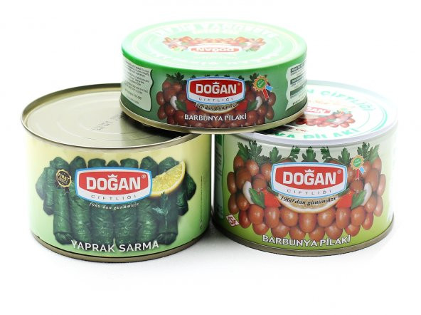 Doğan Konserve Ton Tipi Palamut 160gr. 4lü Paket (DK16) - 3