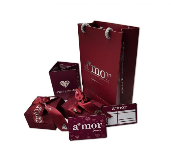 0.40 Karat Elmas 0.29 Karat Pırlanta Küpe G-VS 8K - 2