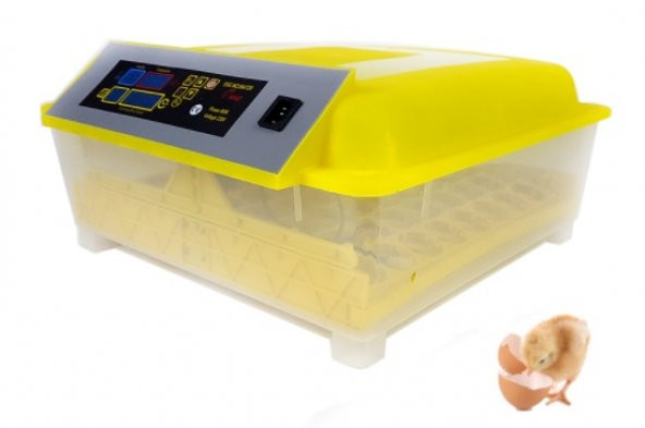 KULUÇKA MAKİNESI YZ8-56 EGG INCUBATOR - 3