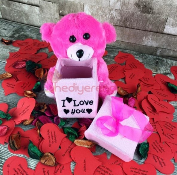 Sevgiliye Hediye Mini Peluş Ayı Romantik Aşk Kutusu - 3