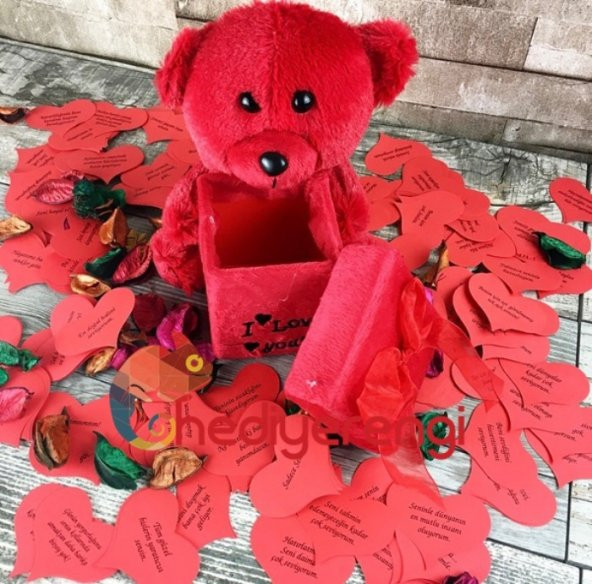 Sevgiliye Hediye Mini Peluş Ayı Romantik Aşk Kutusu - 4