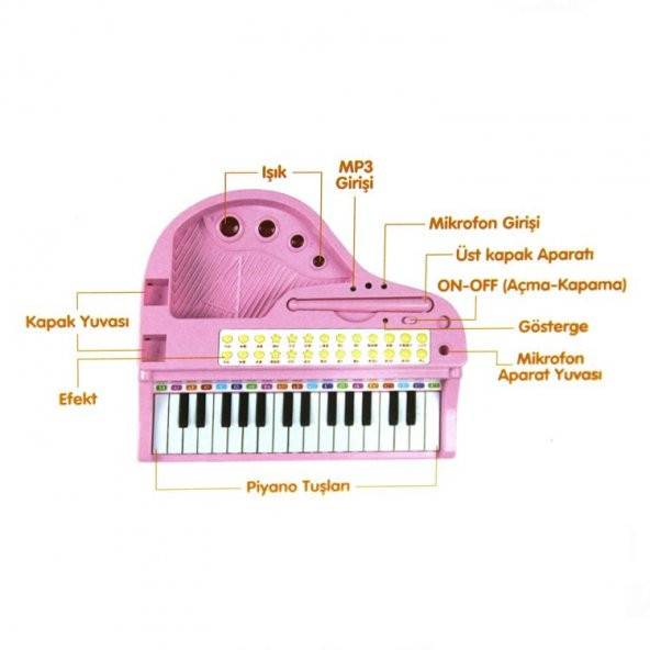 MP3 Kayıt Renkli Led Işık Mini Mikrofonlu Çocuk Piyanosu Org