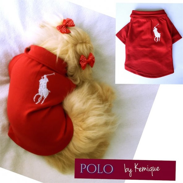 POLO by Kemique Tişört - Köpek Kıyafet - KIRMIZI