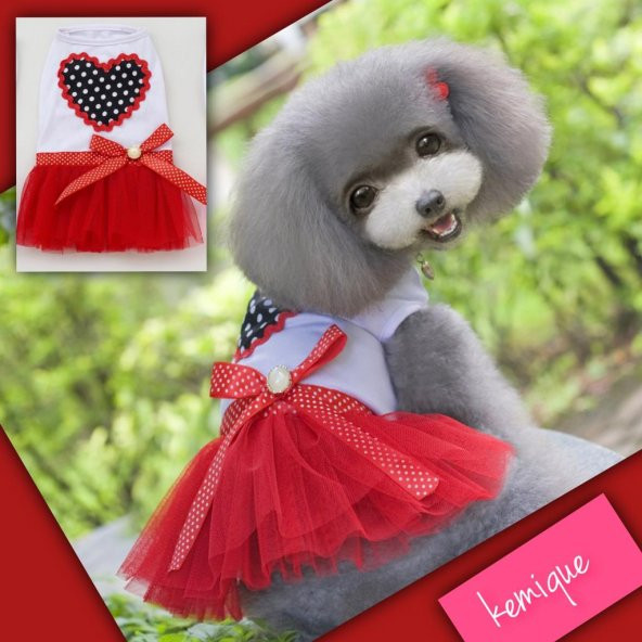 My Heart Tütülü Köpek Elbisesi - Kırmızı