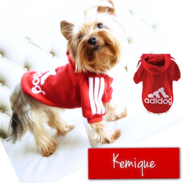 Adidog Köpek Sweatshirt Kırmızı Ufak Irk için