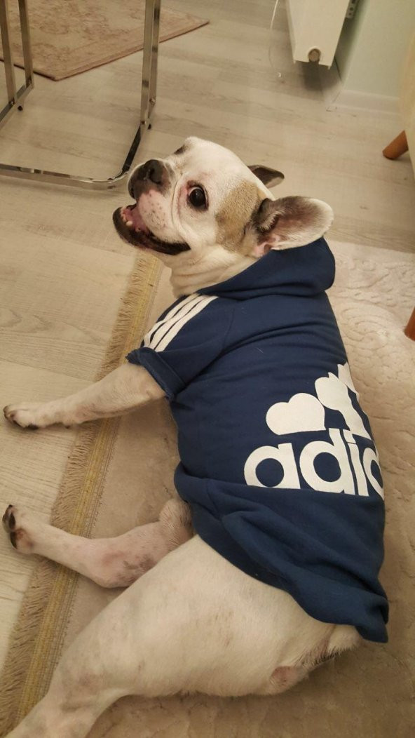 ADIDOG NAVY 4 BIG DOGS - LACİVERT - 7
