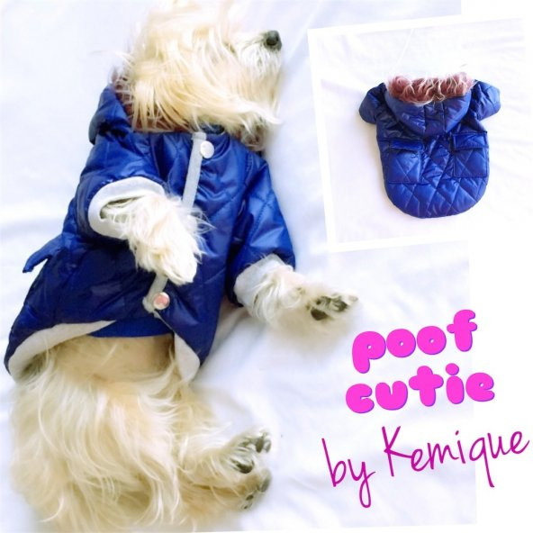 PARLAK MAVİ POOF CUTIE by Kemique   KÖPEK MONT KÖPEK PALTO